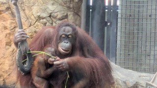 多摩動物園へ行こう!(自主イベント)